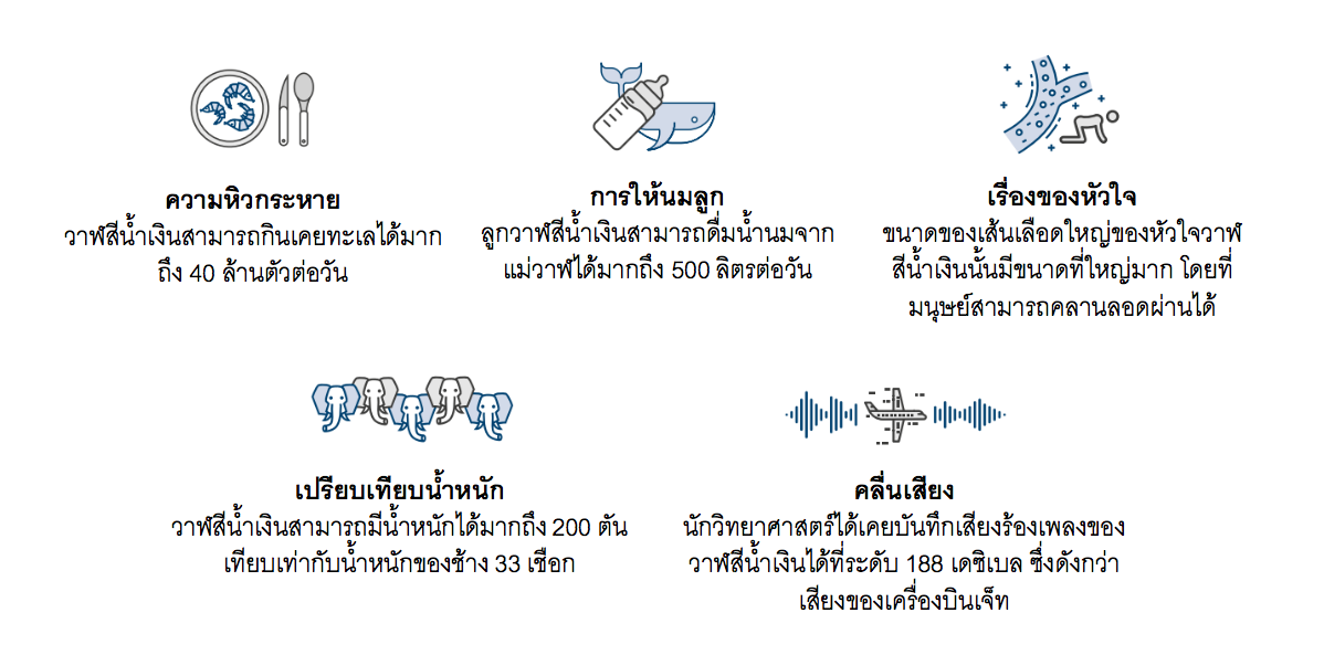 Screen Shot 2019 08 01 at 16.20.57