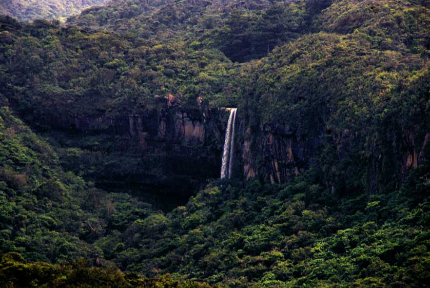 island of Iriomote in Okinawa Prefecture