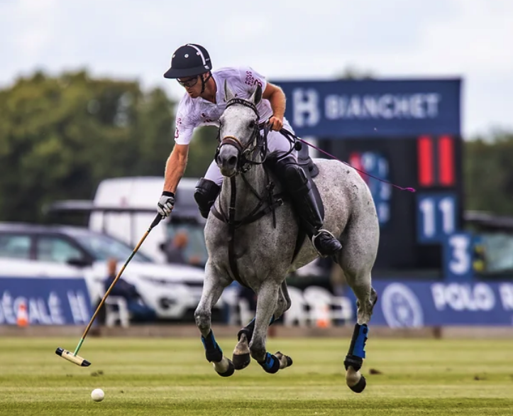 Screen Shot 2566 12 30 at 17.53.14